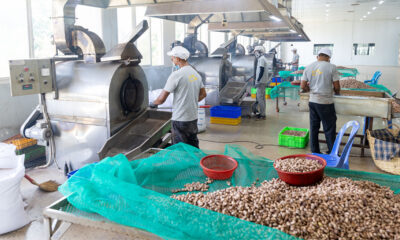 Cashew Nut Processing