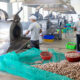 Cashew Nut Processing