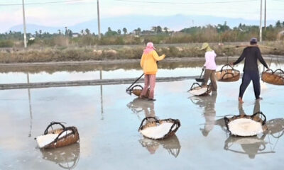 Salt in Kep